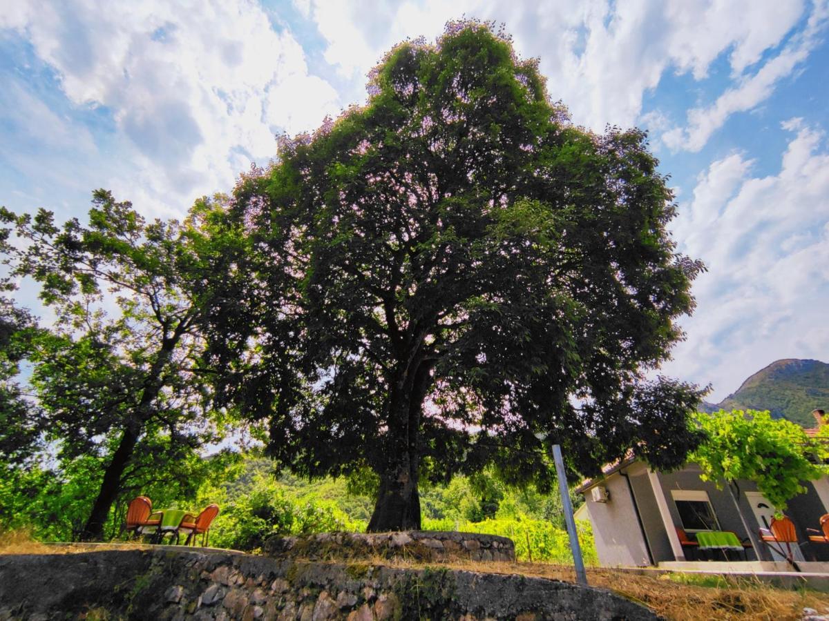 Willa Celtis Shade House Virpazar Zewnętrze zdjęcie